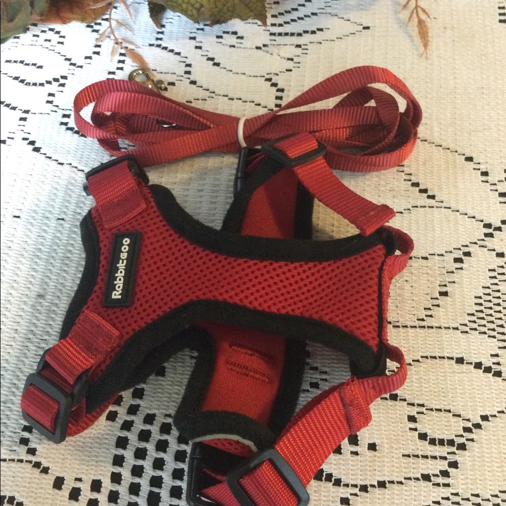 Dog Puppy Cat Harness Matching Leash